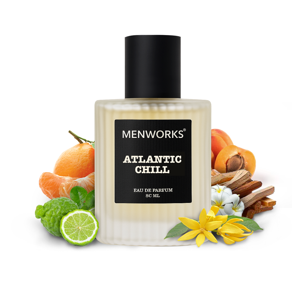 Menworks Atlantic Chill Perfume | Fresh Citrusy Aromatic | Eau De Parfum (25% oil Conc.)