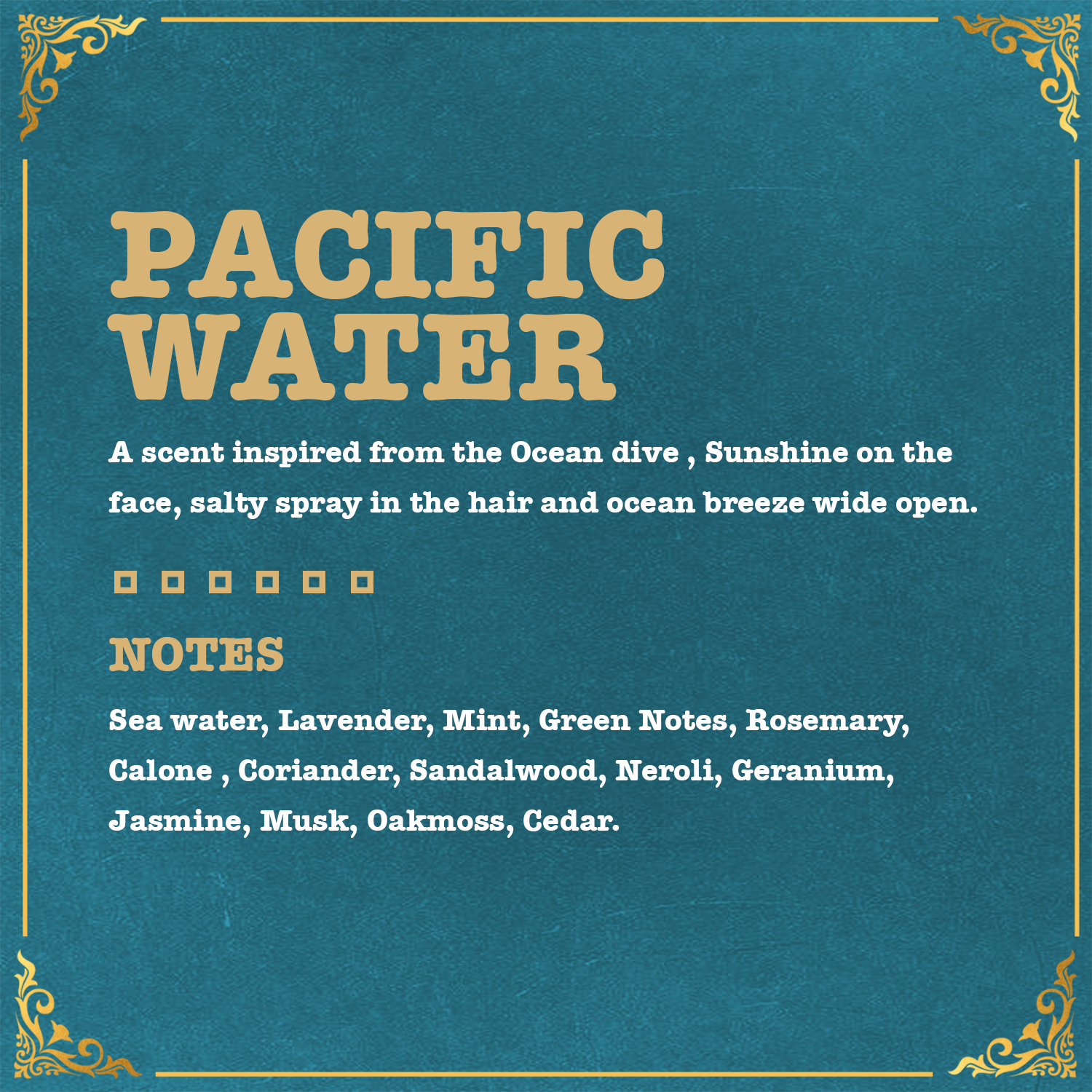 Menworks Pacific Water Perfume | Aquatic Fresh Spicy |